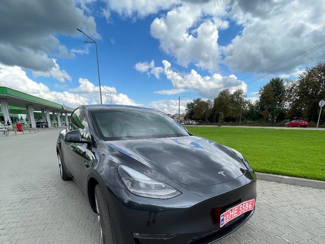 Tesla Model Y 2024, Житомир, $30 500 - зображення 1
