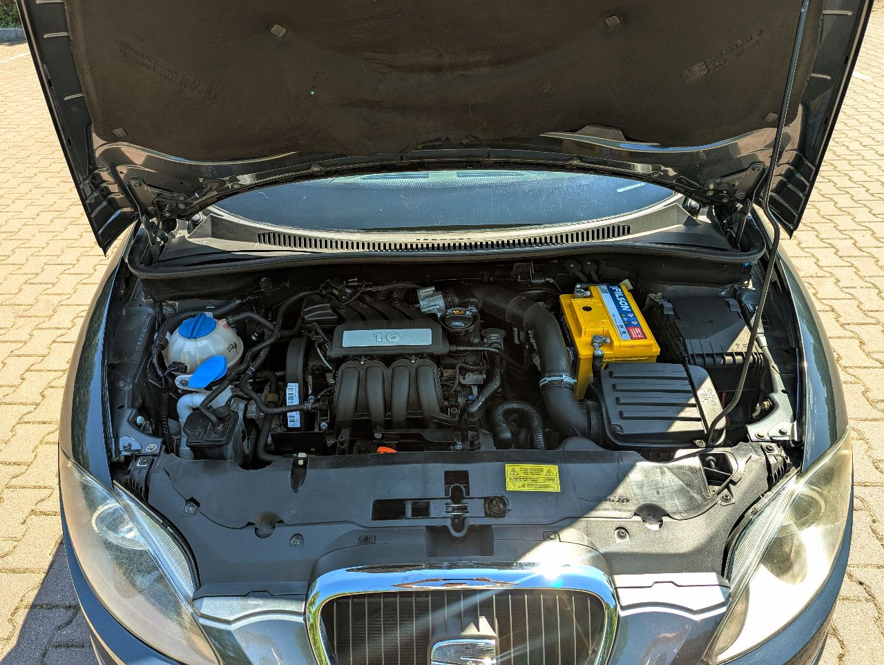 SEAT Altea - фото 3