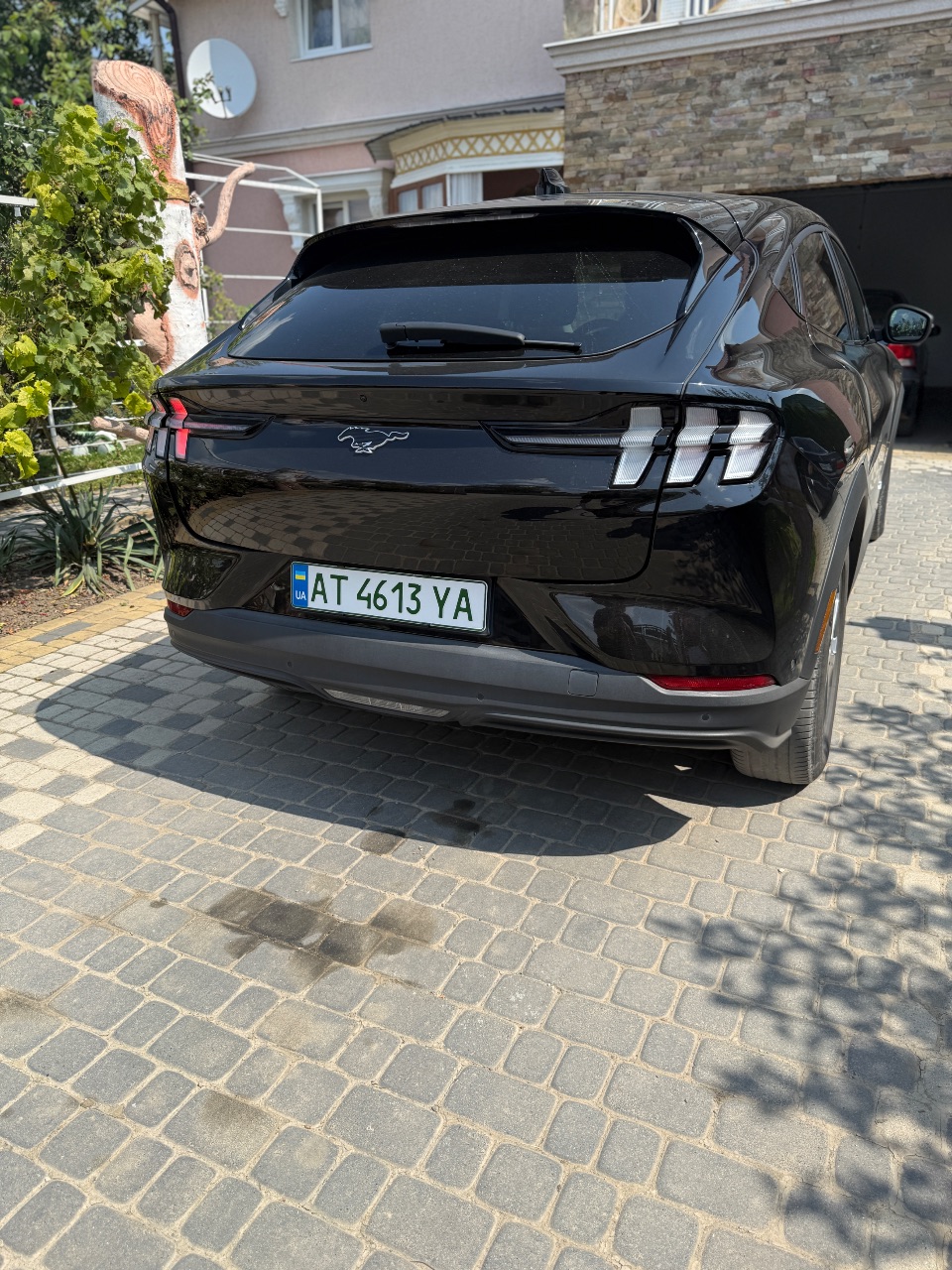 Ford Mustang Mach-E - фото 4