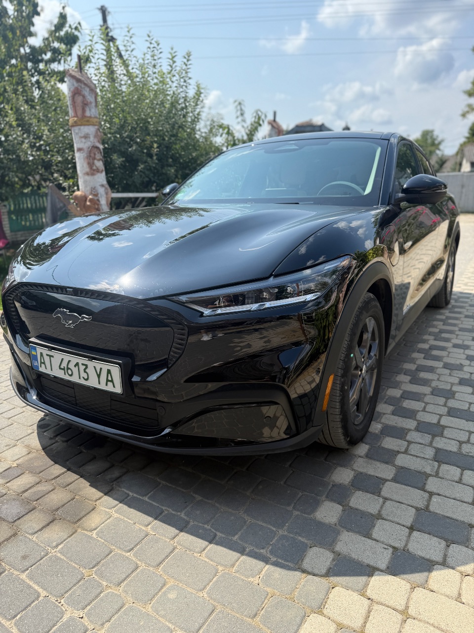 Ford Mustang Mach-E - фото 1