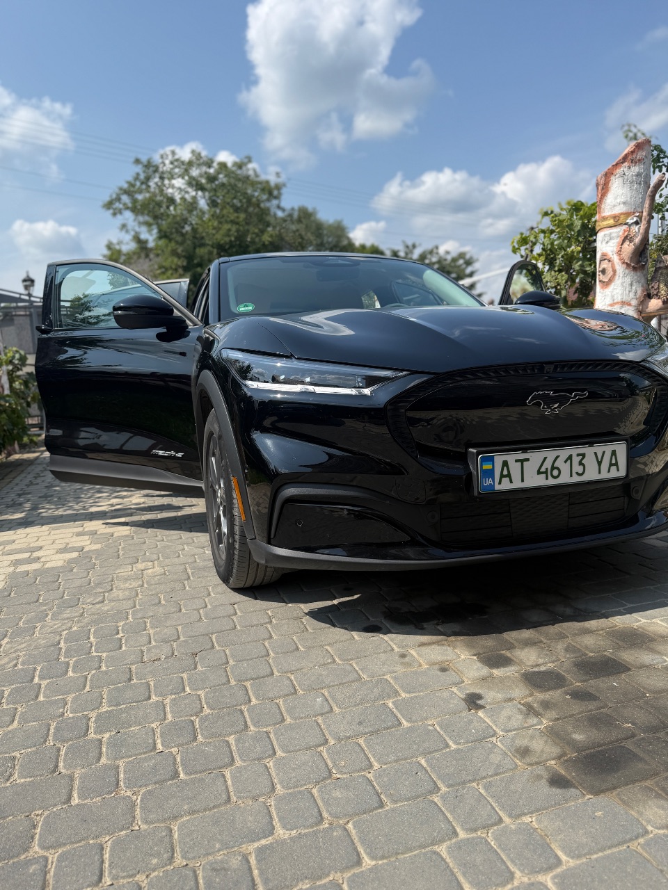 Ford Mustang Mach-E - фото 18