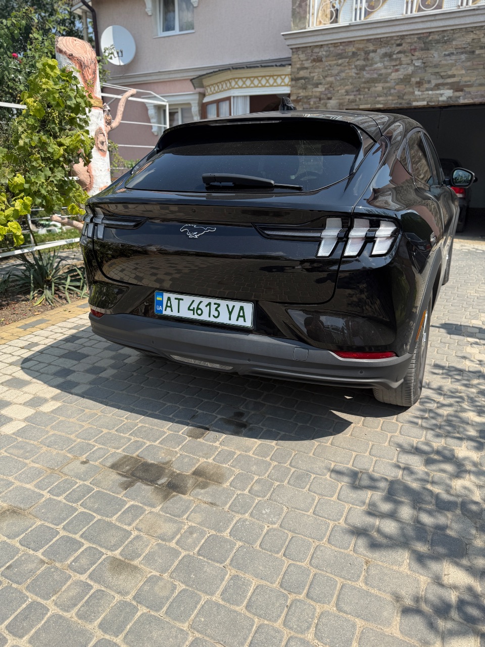 Ford Mustang Mach-E - фото 5