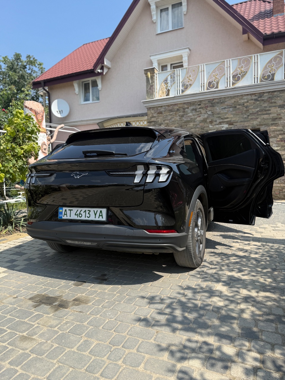 Ford Mustang Mach-E - фото 17