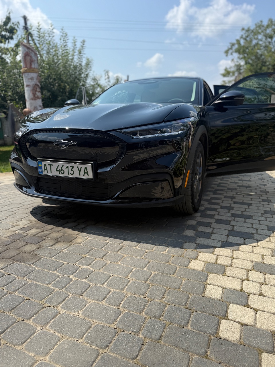 Ford Mustang Mach-E - фото 19