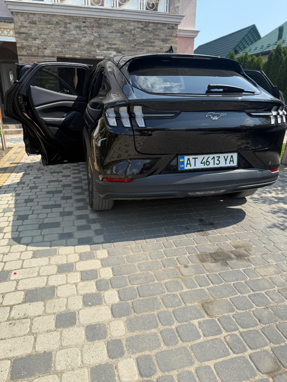 Ford Mustang Mach-E - фото 16