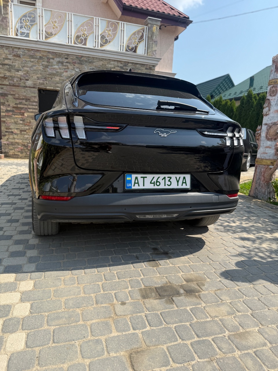 Ford Mustang Mach-E - фото 7