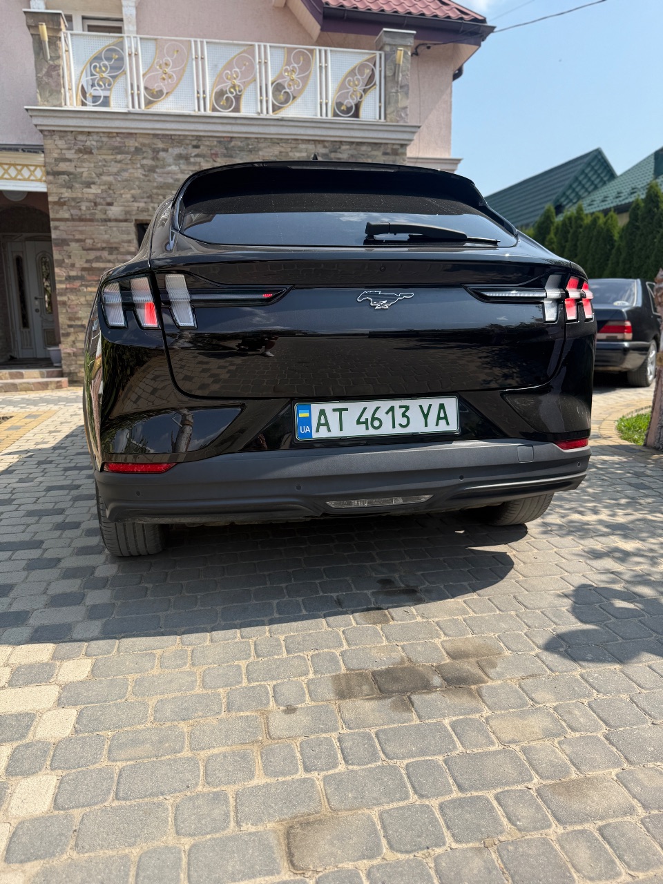 Ford Mustang Mach-E - фото 6