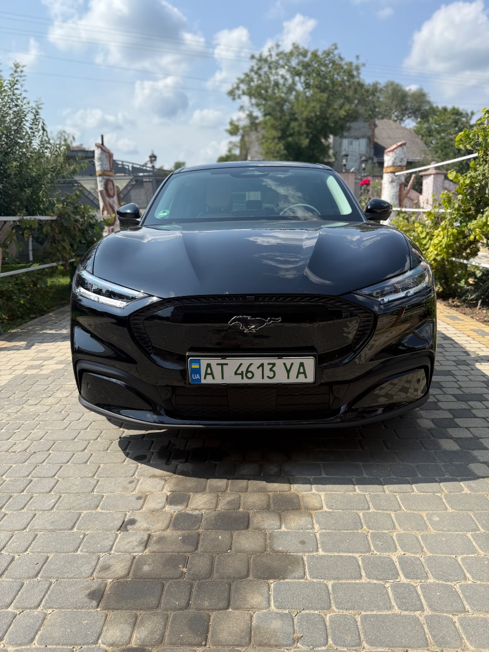 Ford Mustang Mach-E - фото 2