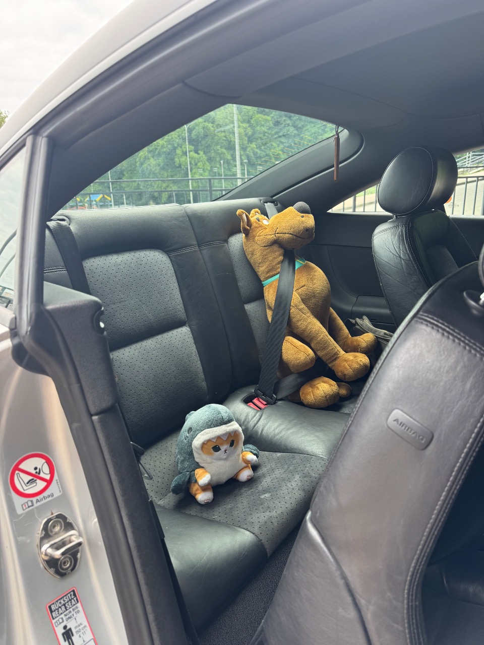 Audi TT - фото 18