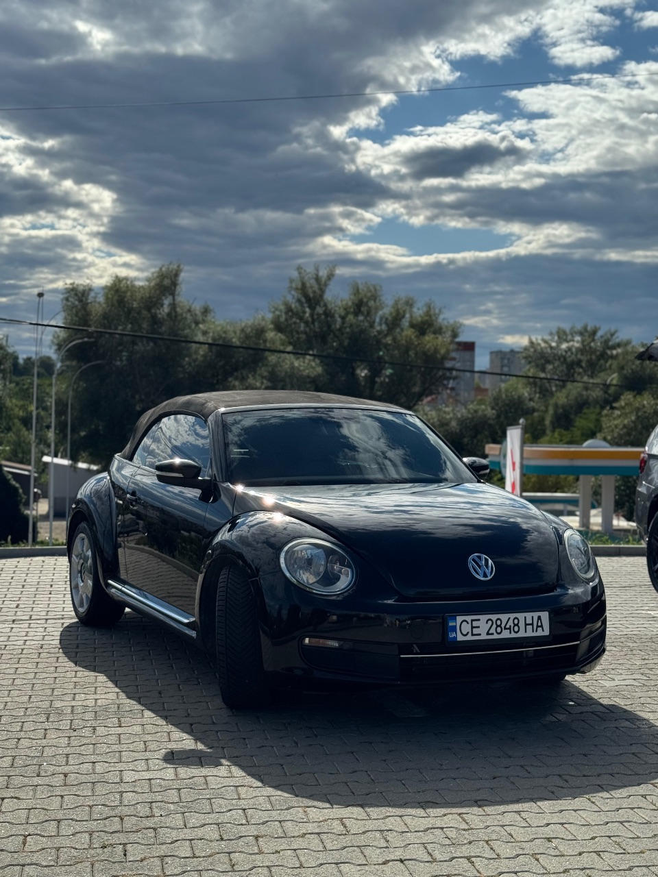 Volkswagen Beetle - фото 6