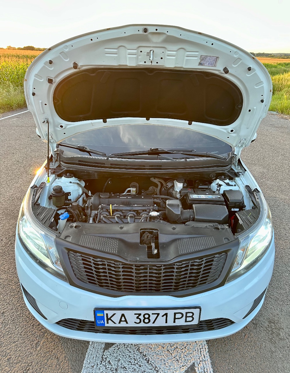 Kia Rio - фото 38