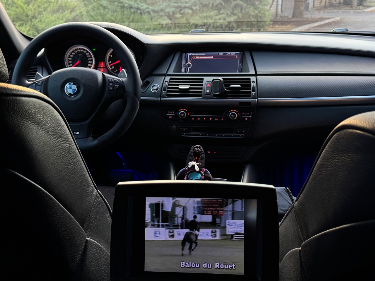 BMW X6 M - фото 8