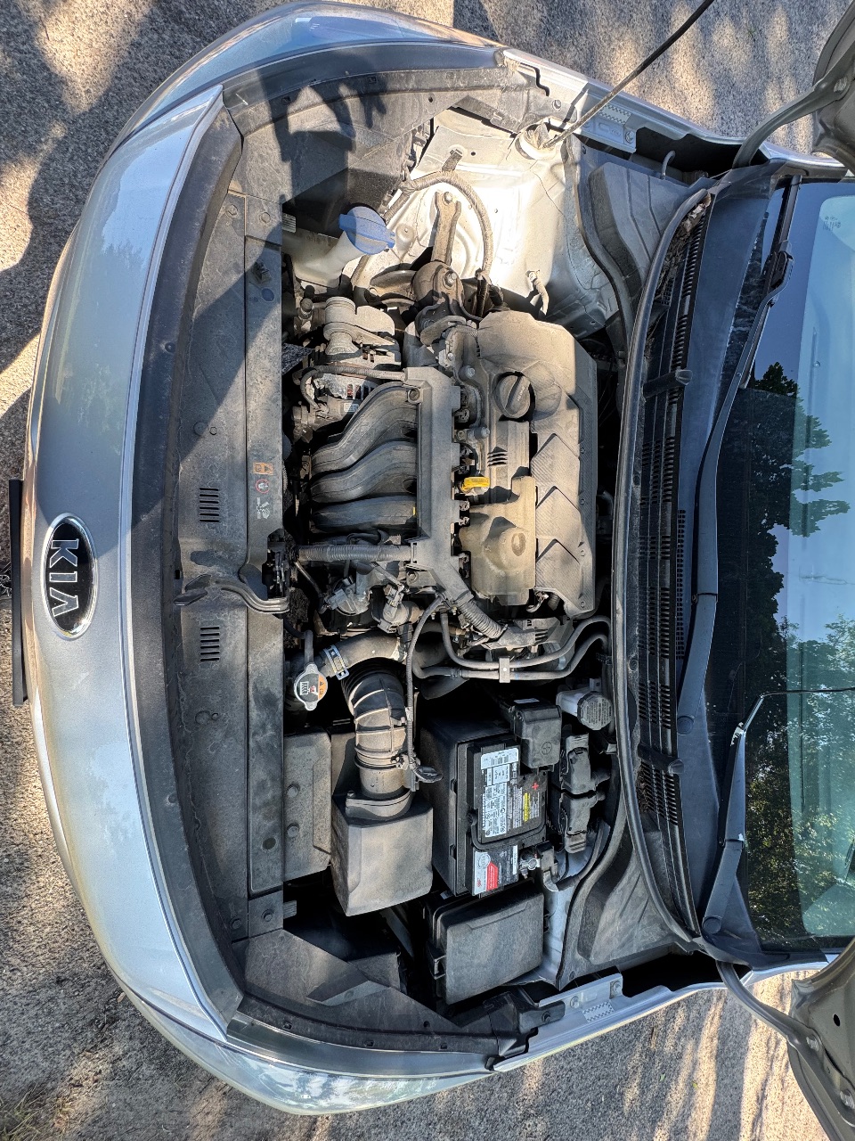 Kia Rio - фото 38