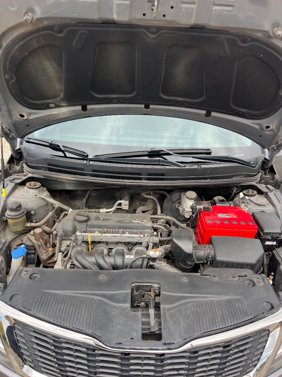 Kia Rio - фото 5