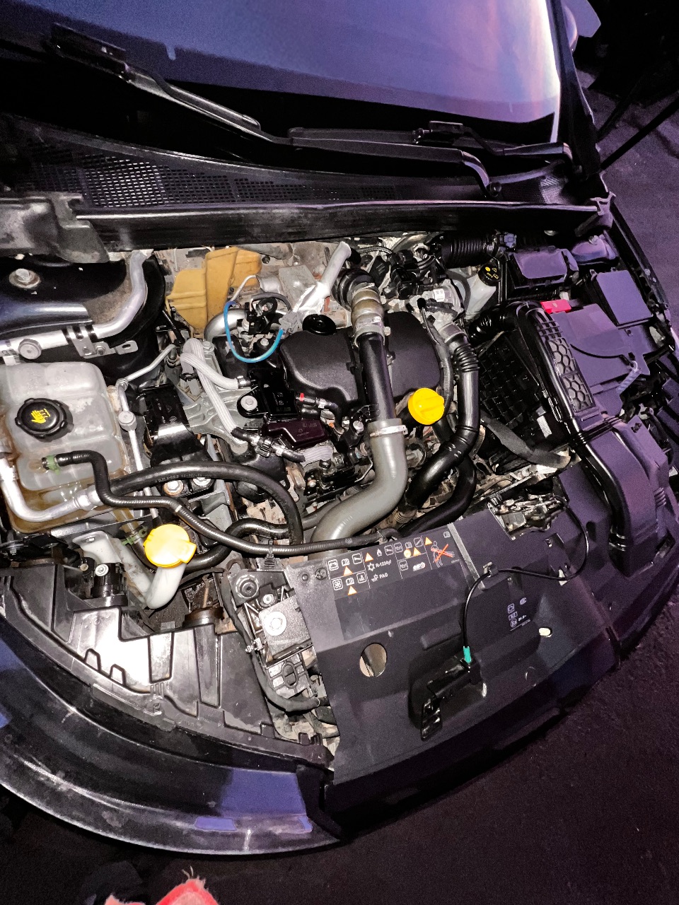 Renault Megane - фото 2