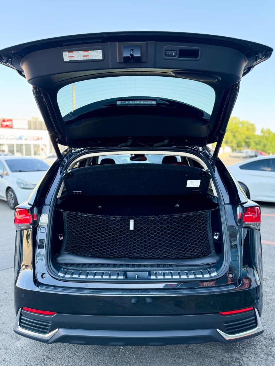 Lexus NX - фото 11