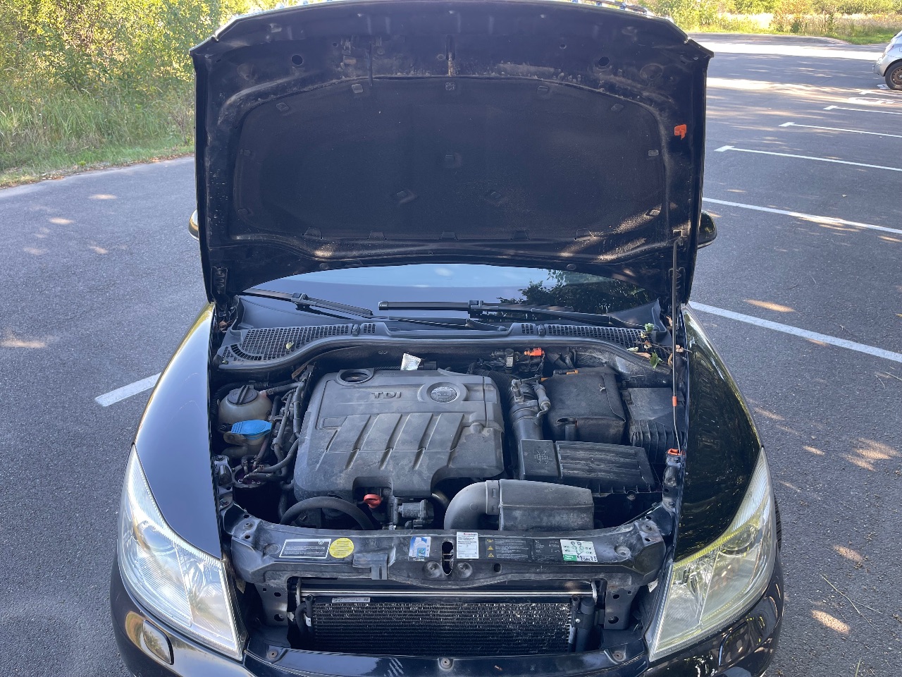 Skoda Octavia RS - фото 28