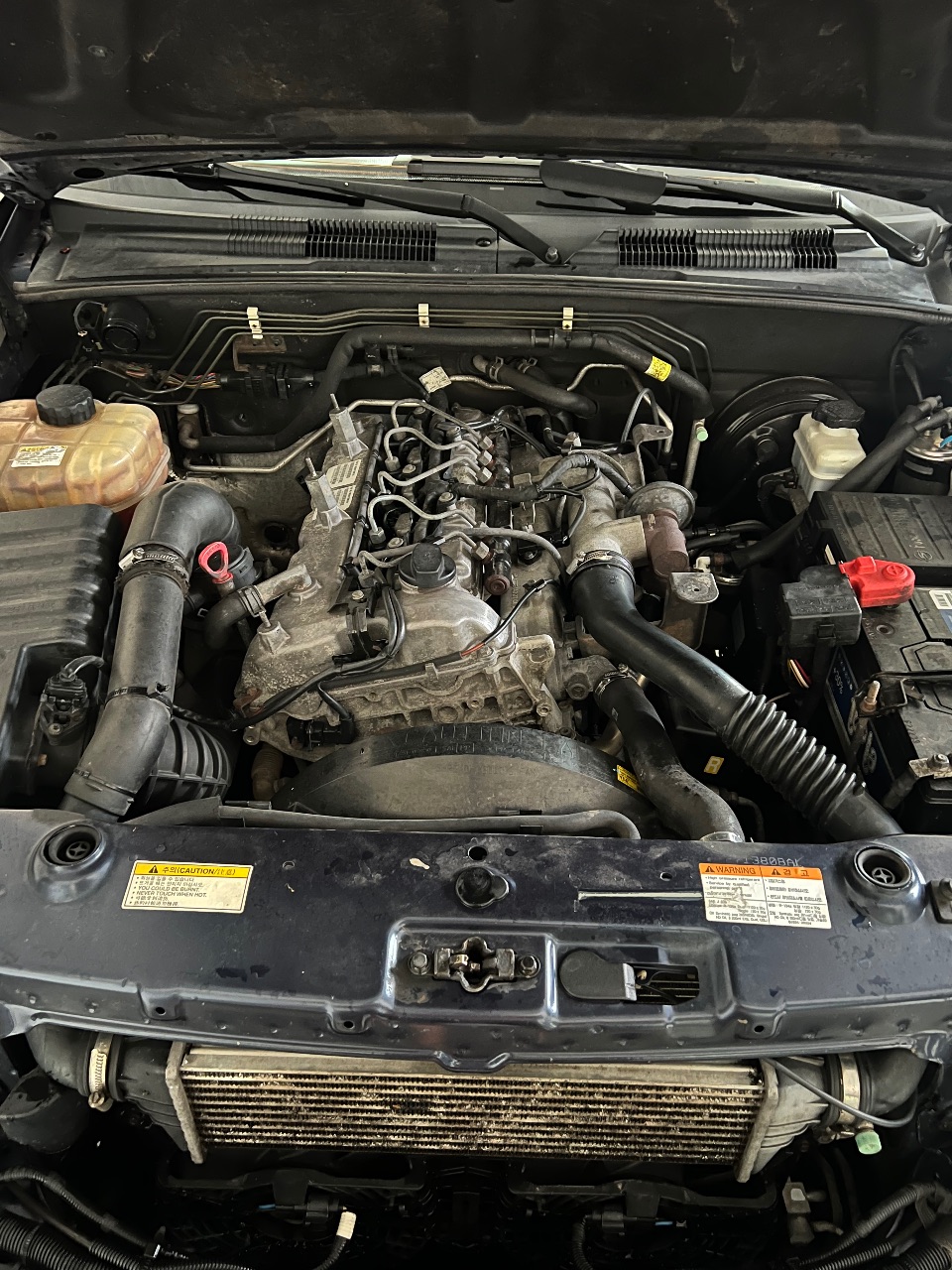 SsangYong Rexton - фото 10