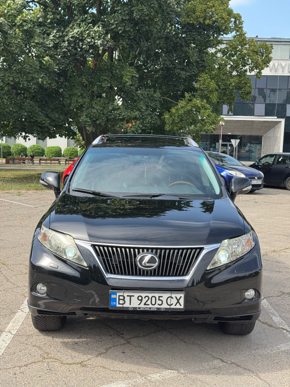 Lexus RX - фото 4