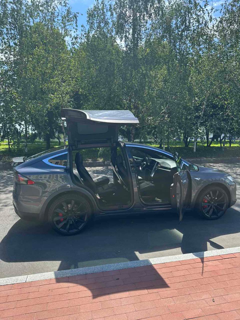 Tesla Model X - фото 18