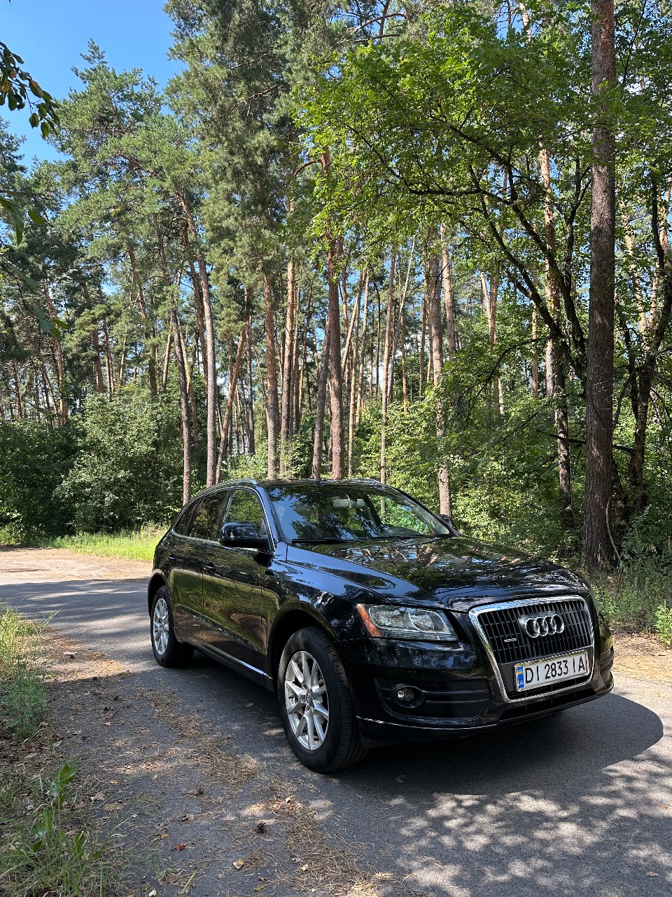 Audi Q5 - фото 1