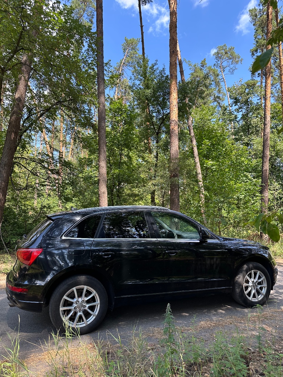 Audi Q5 - фото 12