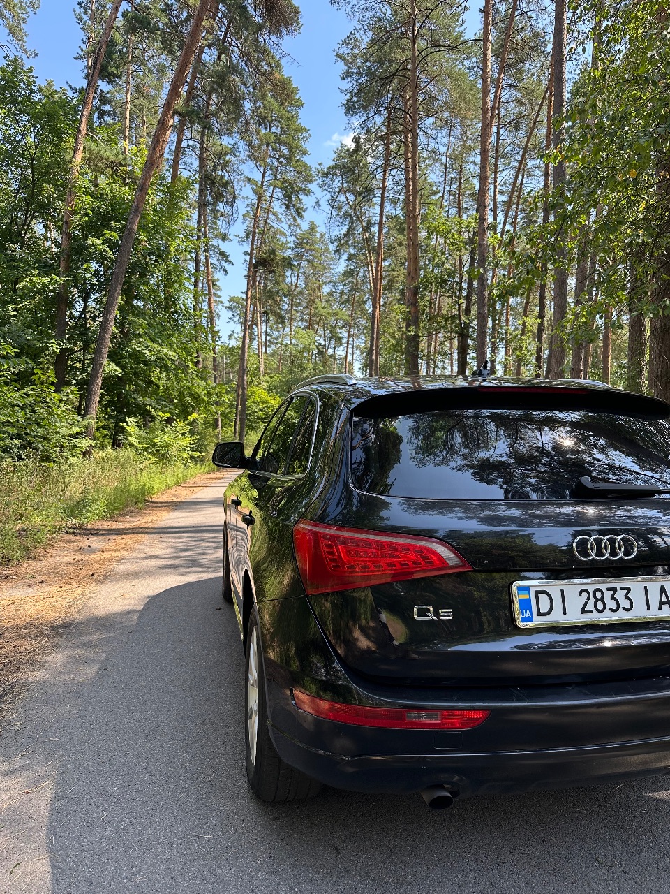 Audi Q5 - фото 8