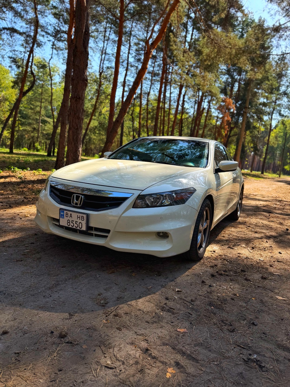 Honda Accord - фото 1