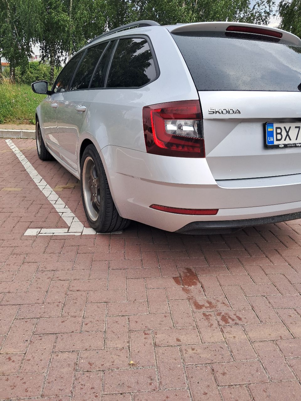 Skoda Octavia - фото 4
