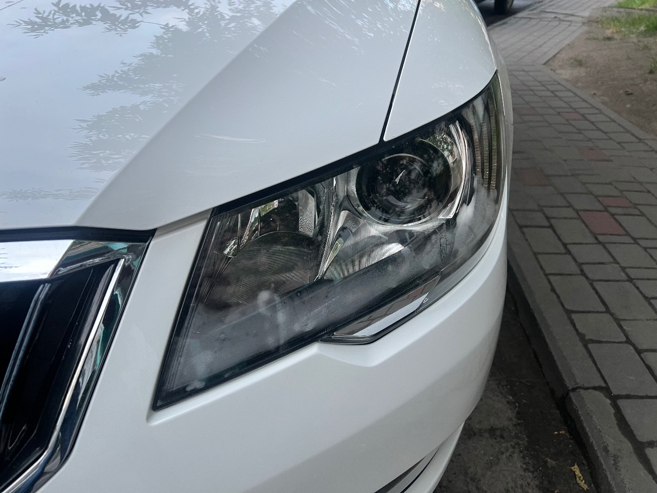 Skoda Superb - фото 16