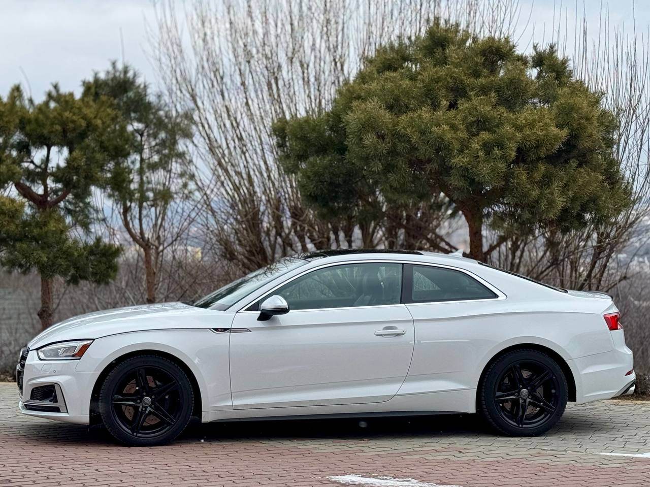 Audi S5 - фото 10