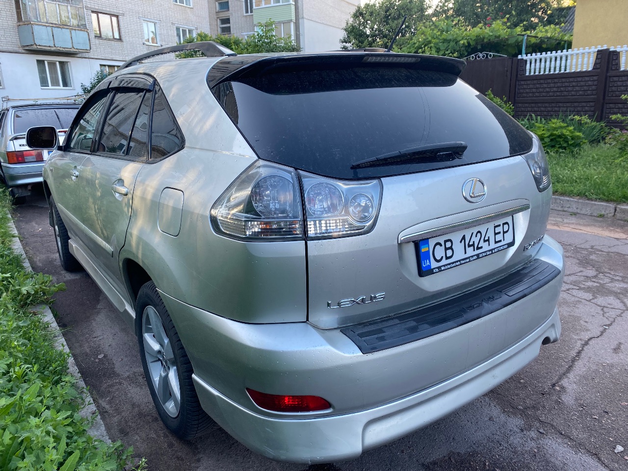 Lexus RX - фото 5