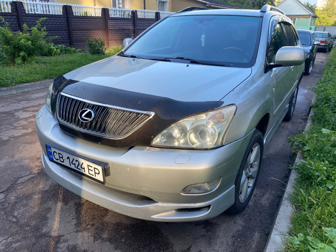 Lexus RX - фото 1