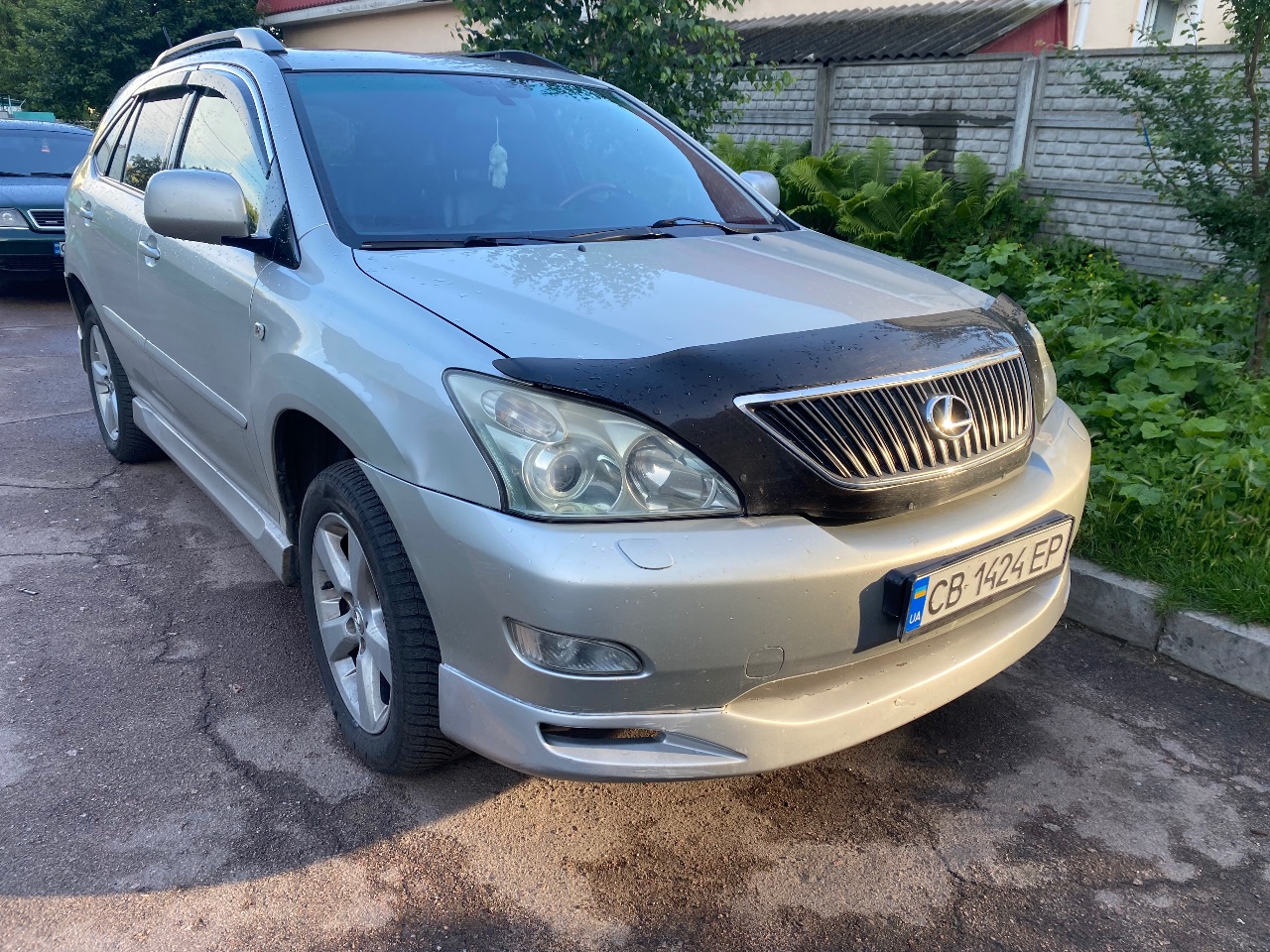 Lexus RX - фото 4