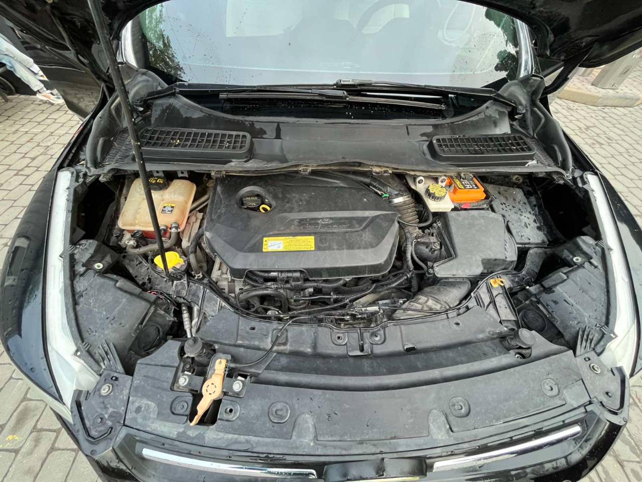 Ford Escape - фото 15