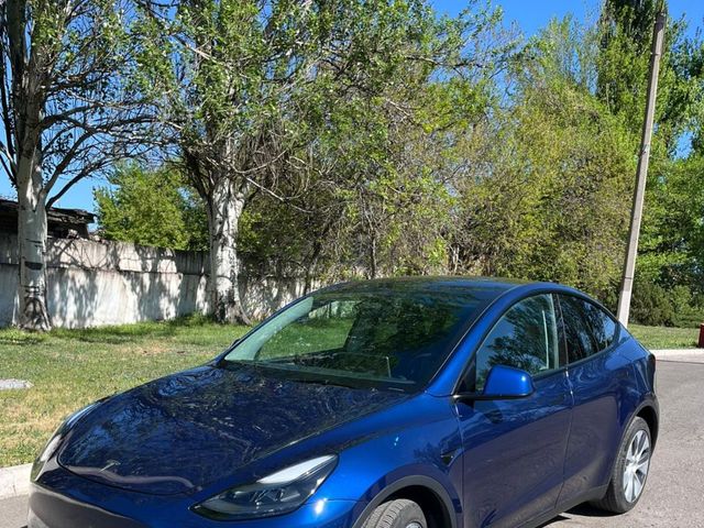 Tesla Model Y - зображення 3