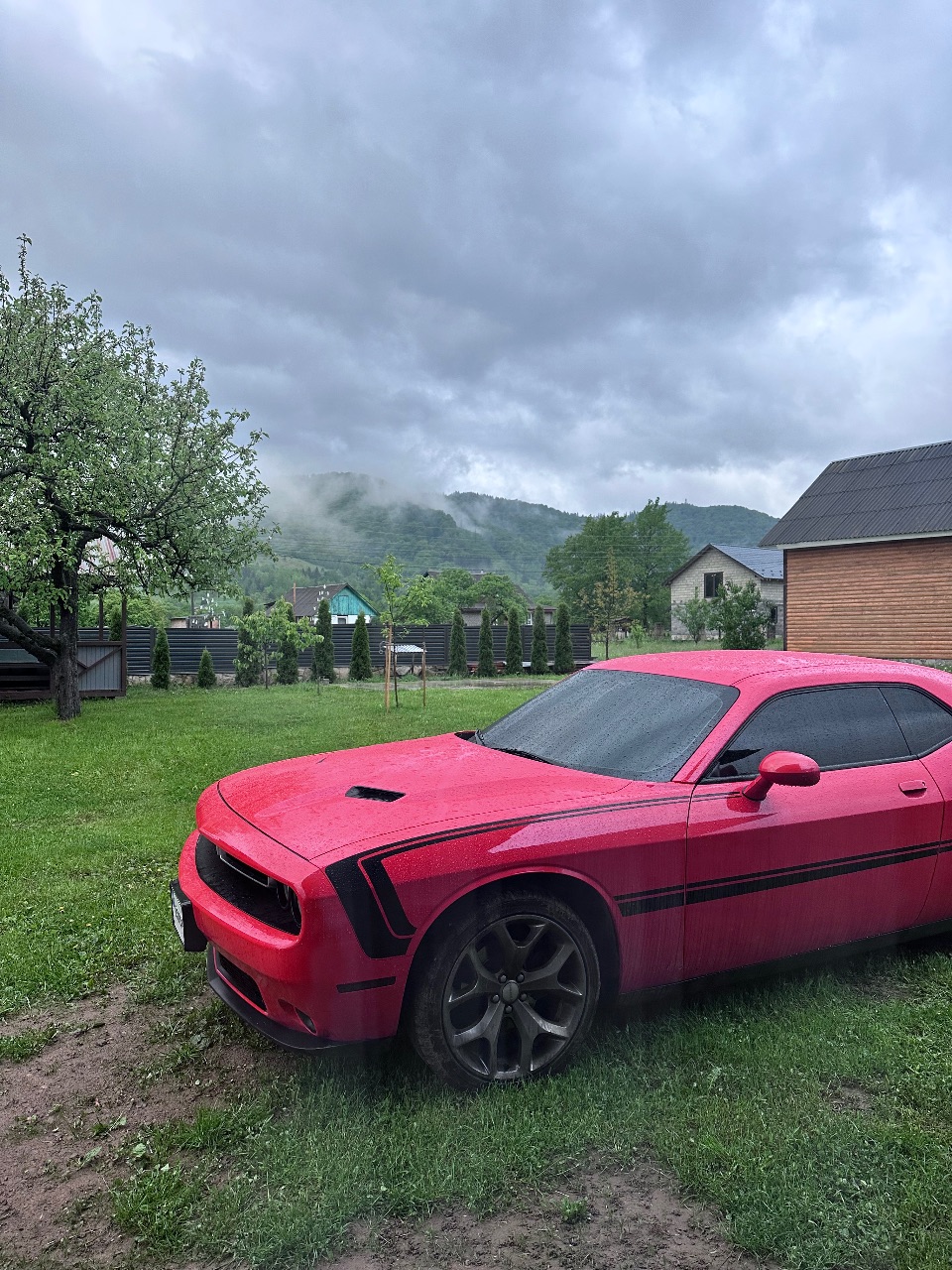 Dodge Challenger - фото 5
