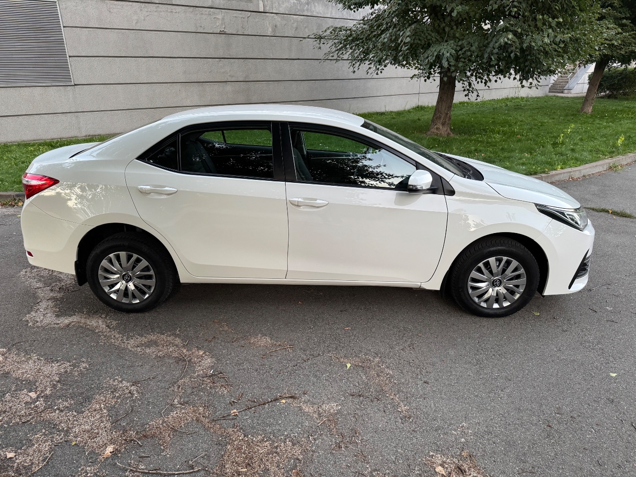 Toyota Corolla - фото 4