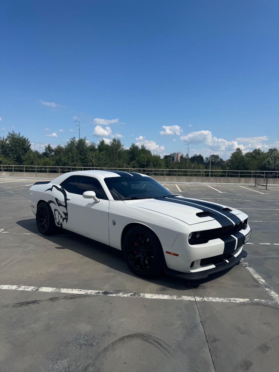 Dodge Challenger - фото 7
