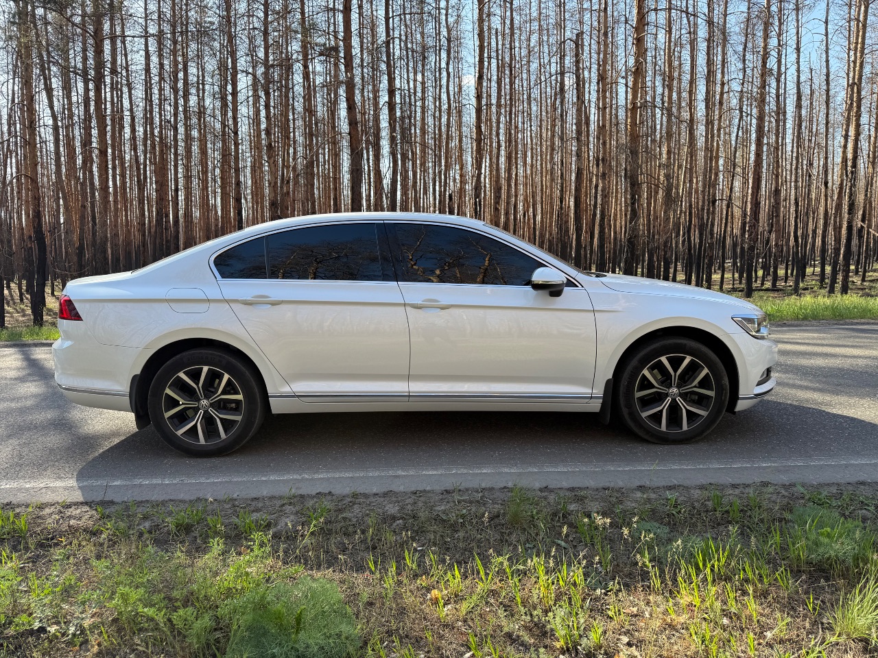 Volkswagen Passat - фото 8