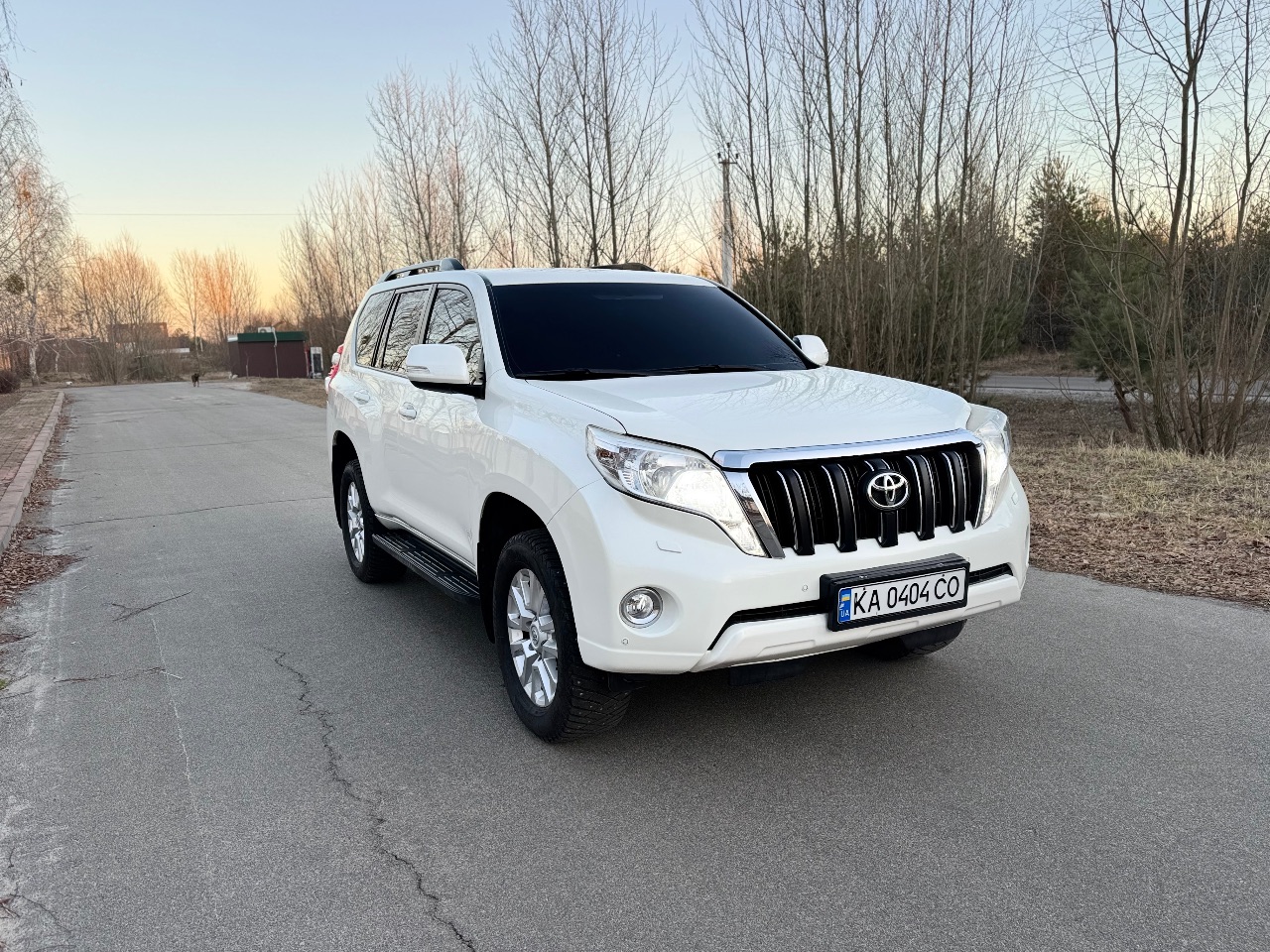 Toyota Land Cruiser Prado - фото 24