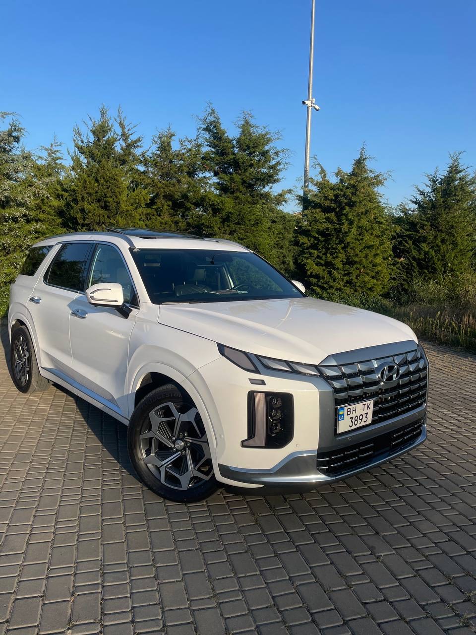 Hyundai Palisade - фото 1