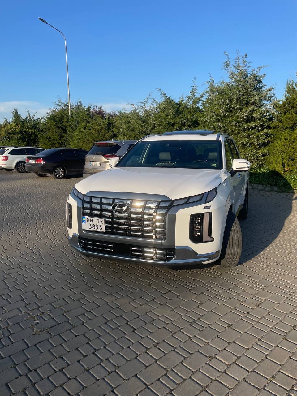 Hyundai Palisade - фото 2
