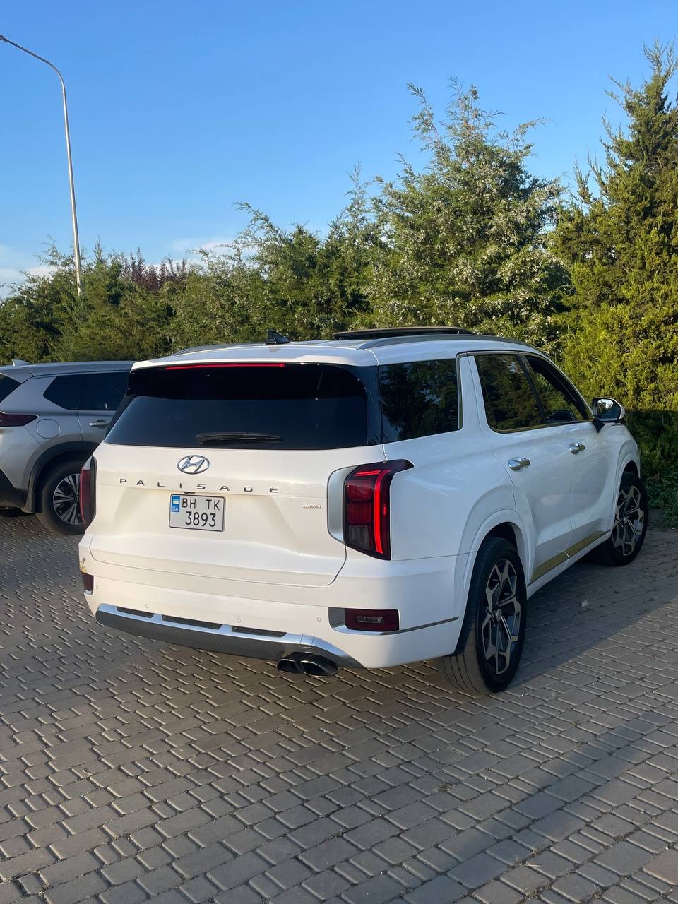 Hyundai Palisade - фото 6