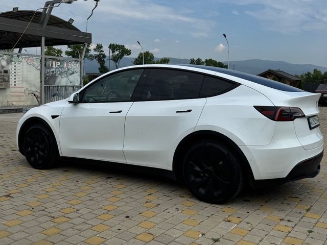 Tesla Model Y - фото 3