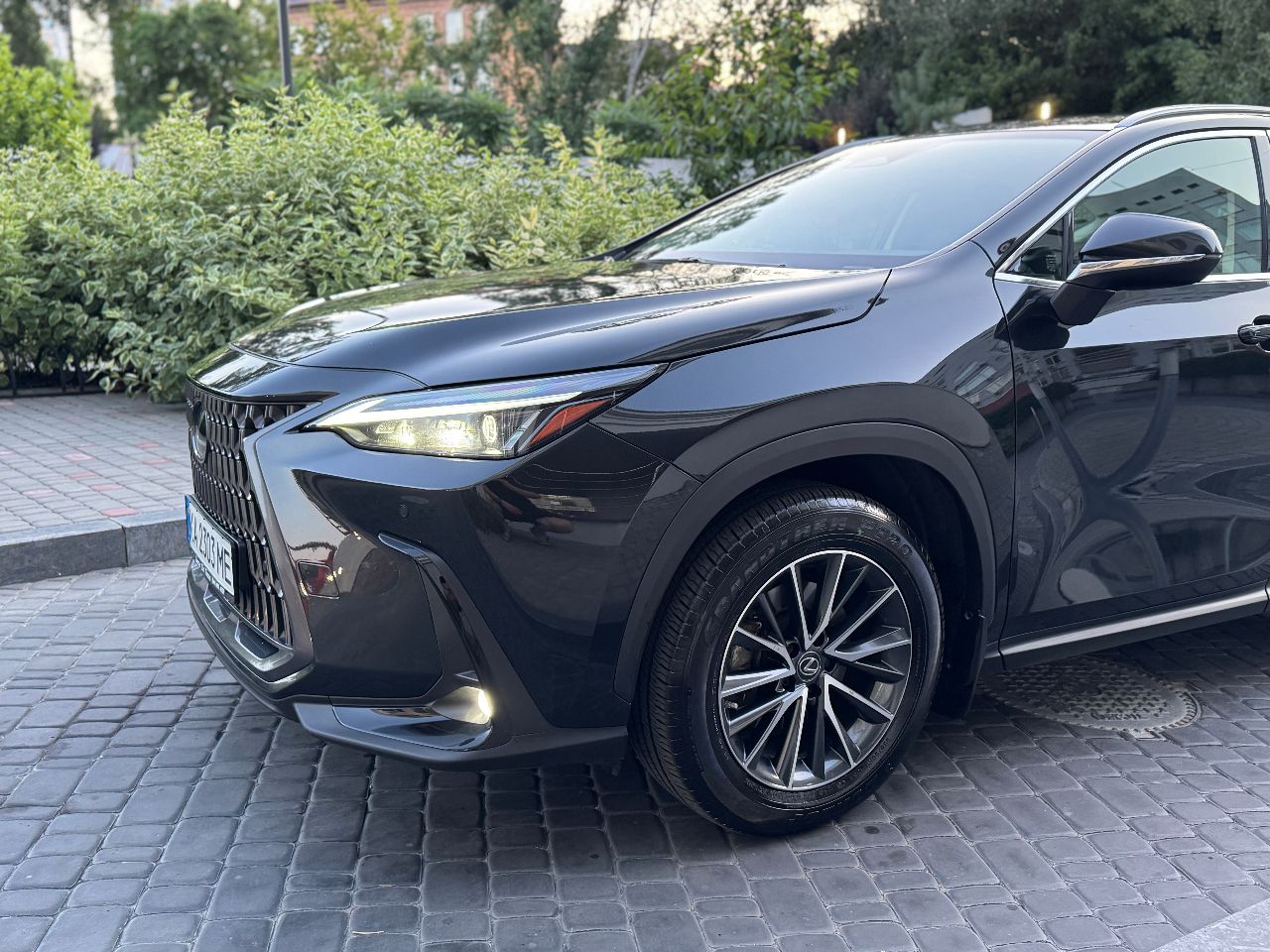 Lexus NX - фото 4