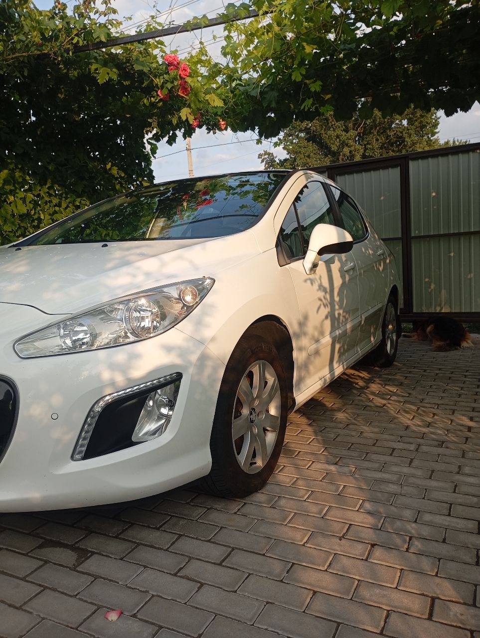 Peugeot 308 - фото 19