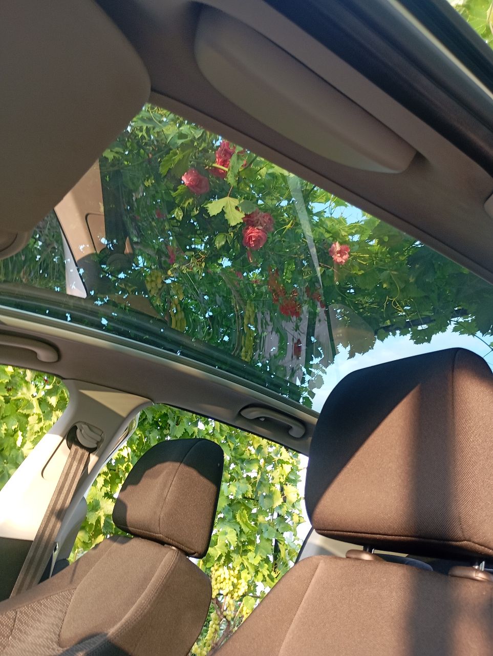 Peugeot 308 - фото 10