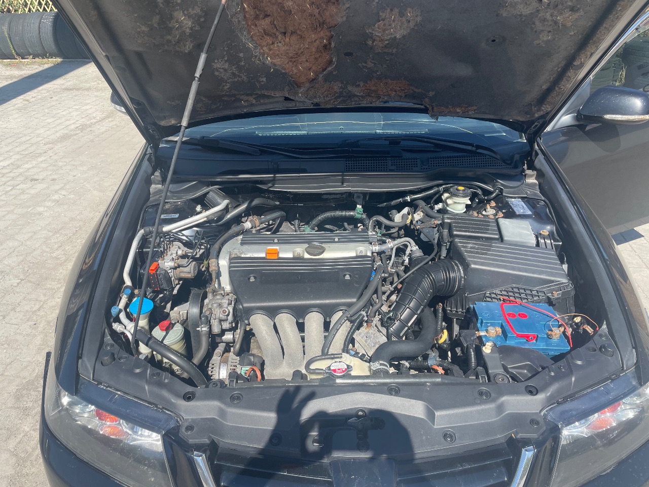 Honda Accord - фото 16