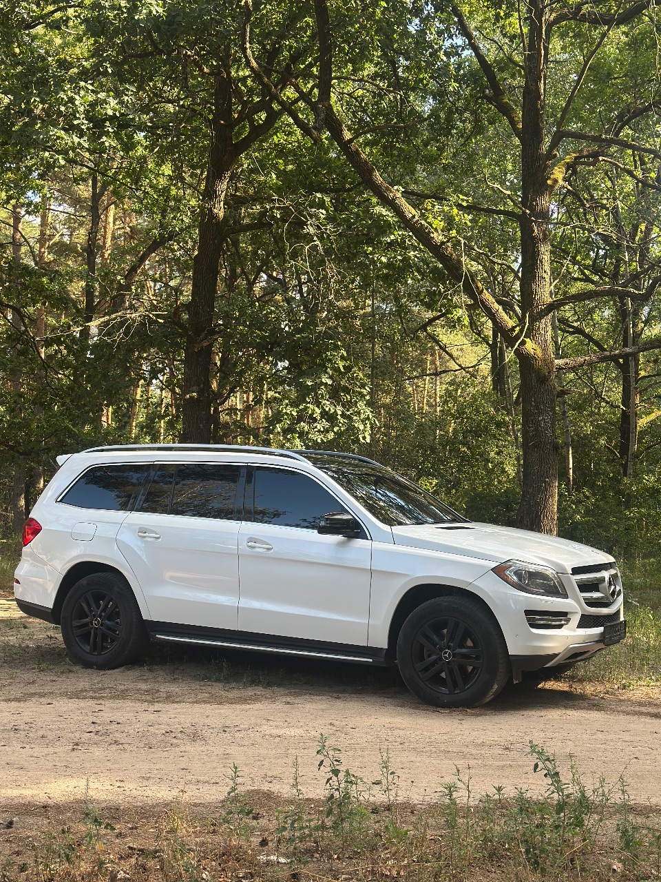 Mercedes-Benz GL-Класс - фото 24